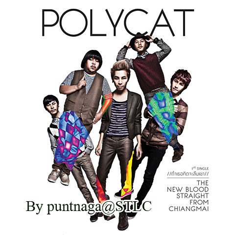 Polycat - ถ้าเธอคิดจะลืมเขา