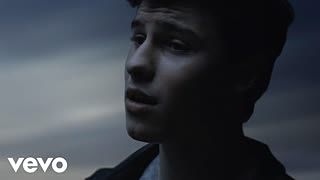 Shawn Mendes Camila Cabello - I Know What You Did Last Summer