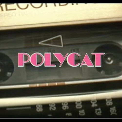 Cover POLYCAT - พบกันใหม่ (So Long)