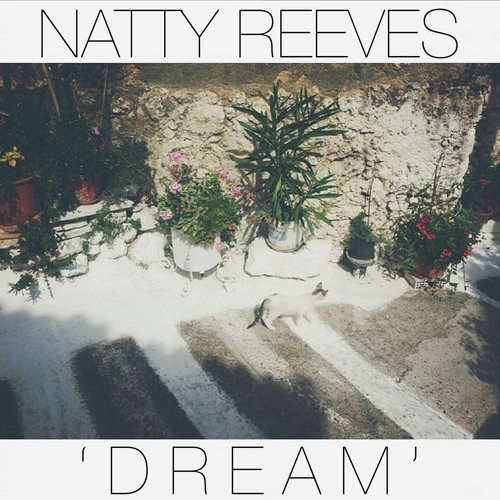 Natty Reeves - Dream