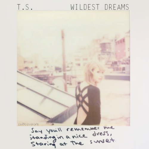 Wildest Dreams - Taylor Swift (cover)