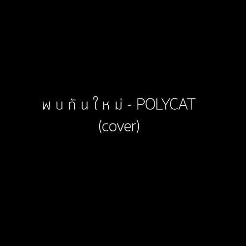 พบกันใหม่ - Polycat Acoustic (cover)