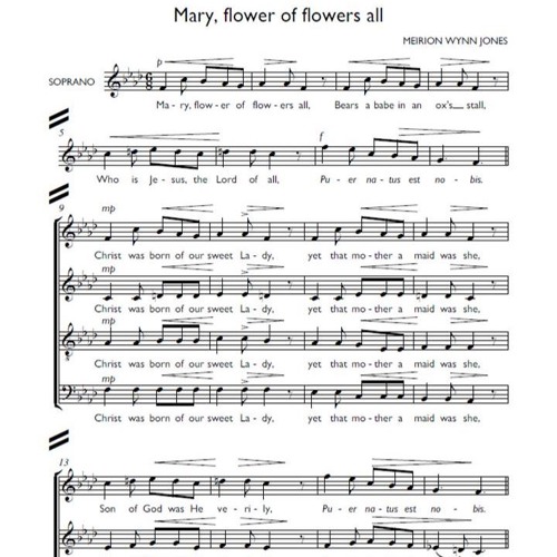 Mary Flower Of Flowers All