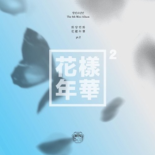 BTS (방탄소년단) - Butterfly (instrumental)