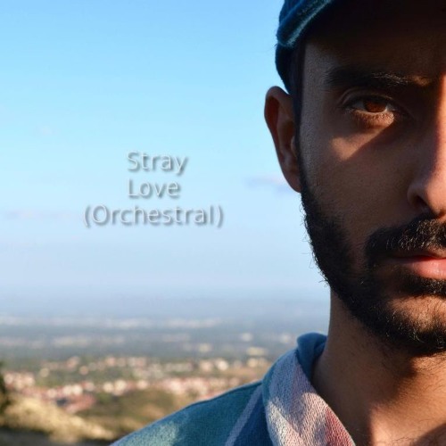 Dizzy Dizzo - Stray Love (Orchestral Version)by Majid