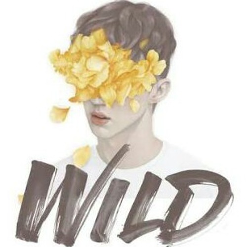 Wild-Troye Sivan