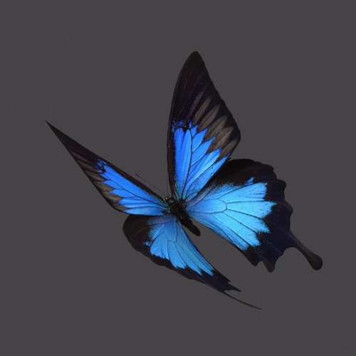BTS(방탄소년단) - Butterfly