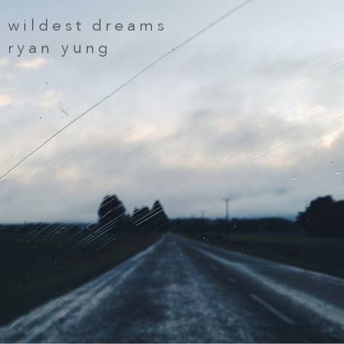 Wildest Dreams (Taylor Swift)