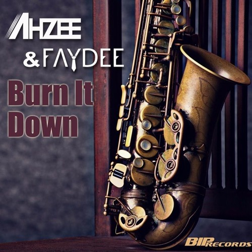 เพลงที่มันมีงูออกมา Ahzee & Faydee - Burn it Down (Solztrix Remix)