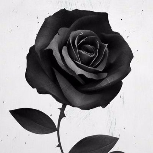 Rose Is A Rose
