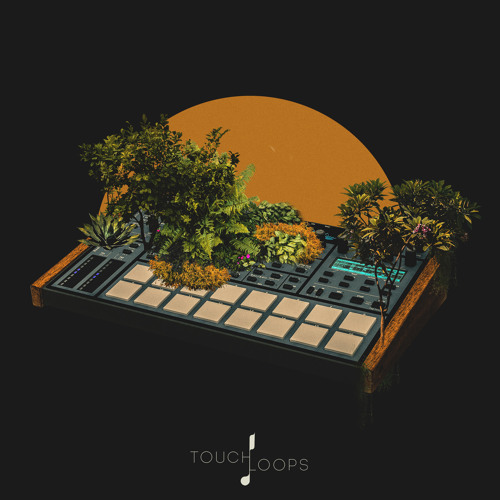Touch Loops -anic Top Loops Samples & Loops