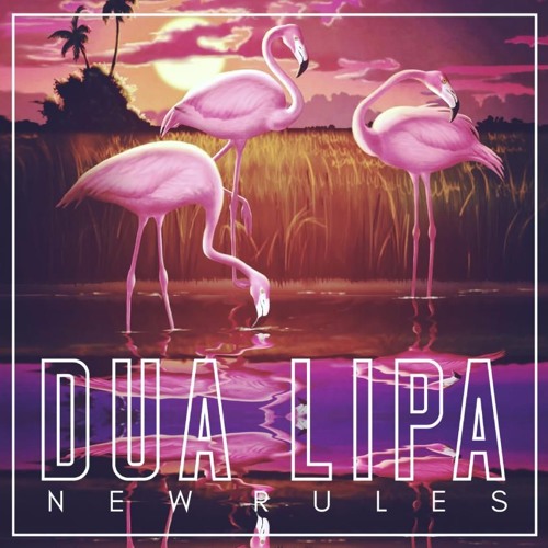 Dua Lipa - New Rules - Funk Remix