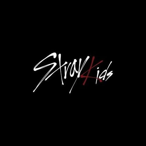 Stray Kids 최종회 7인 Stray Kids 어린날개♬ FINAL MISSION 171219 EP.10