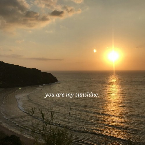 you are my sunshine my only sunshine.