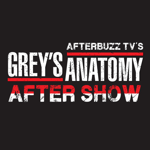 Grey’s Anatomy S 12 There’s A Fine Fine Line It’s All Right Ma I’m Only Bleeding E 18 & E 19 AfterBuzz TV AfterShow