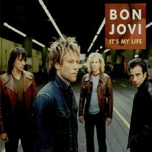 Bon Jovi - It's My Life(BFAT MASHUP)