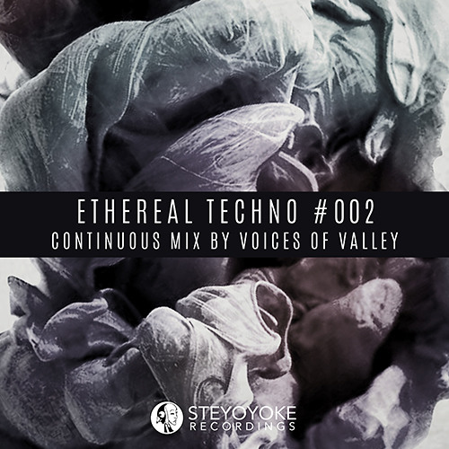 Ethereal Techno 002 (Continuous Mix by Voices Of Valley)