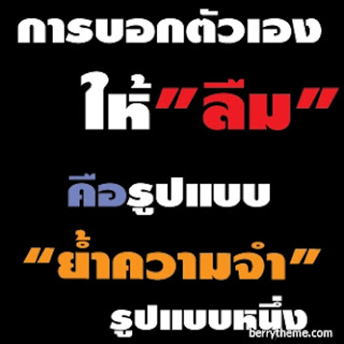 Get Loy - THAIKOON