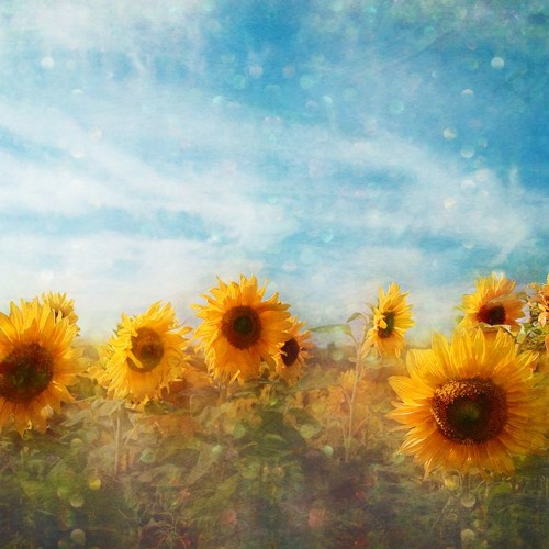 Post Malone & Swae Lee - Sunflower (Sara Farell cover - AdbeatS Remix)