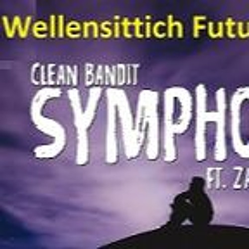 Wellensittich Feat Clean Bandit Symphony Future Remix feat Zara Lasson