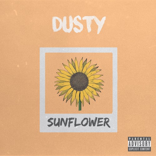 Post Malone & Swae Lee - Sunflower (dusty remix instrumental)