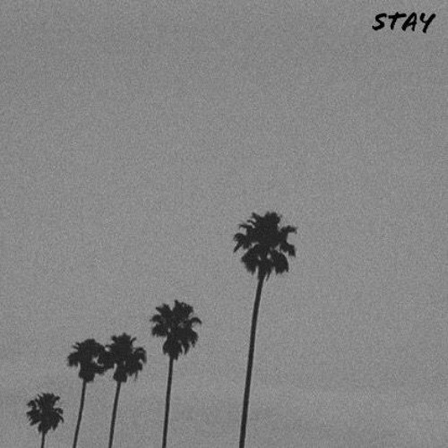 Stay (Post Malone)