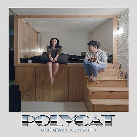 Polycat-มันคือใคร