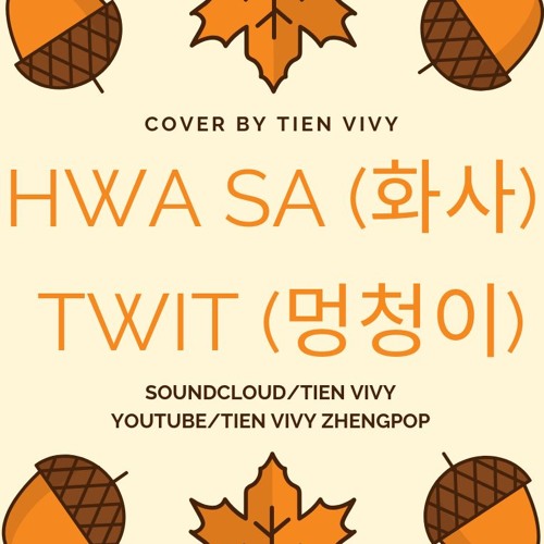 HWA SA (화사) - TWIT (멍청이) GUZHENG cover Tien Vivy 古筝