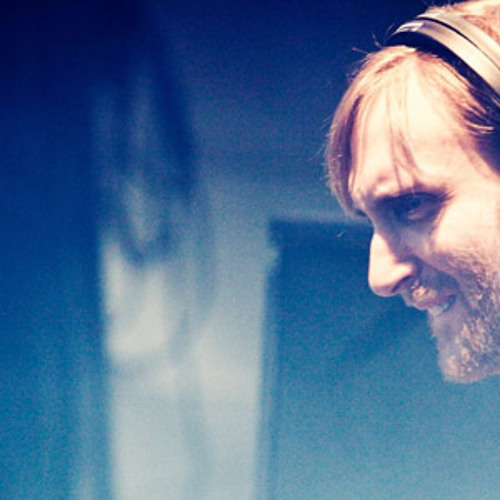 d Guetta - Live Electric Zoo (New York City) - 31.08.2012