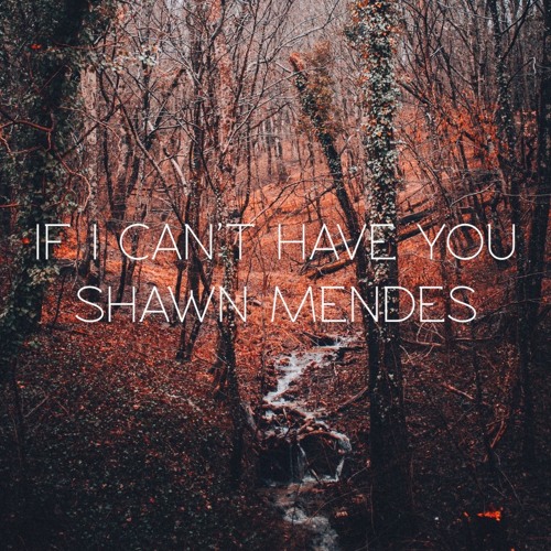Shawn Mendes - If I Can't Have You Cover