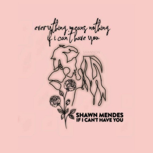 if i can't have you - shawn mendes