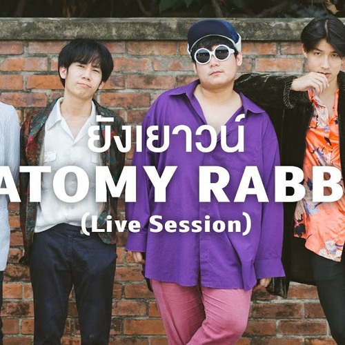 ANATOMY RABBIT - ยังเยาวน์ (Live Session) I A Day