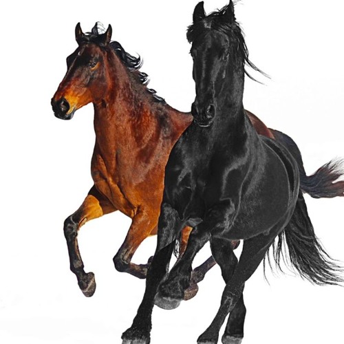Old Town Road Remix - TEJ Feat. The Lost Strings