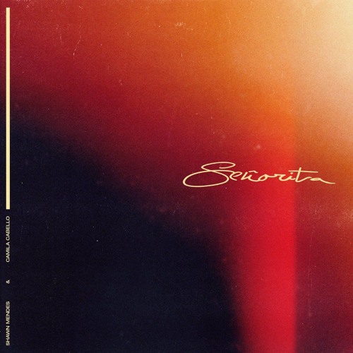 Shawn Mendes Camila Cabello - Senorita(cover)