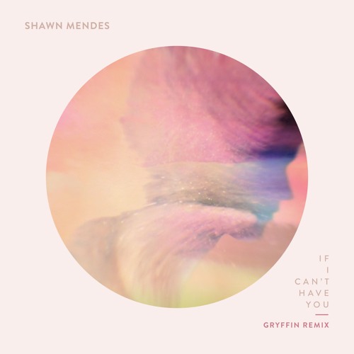 Shawn Mendes - If I Can't Have You (Gryffin Remix)