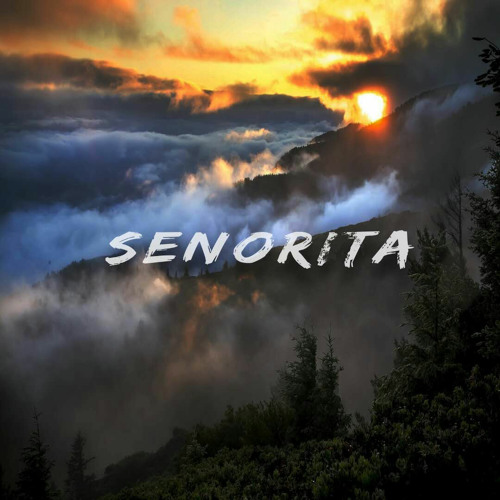 Senorita - Shawn Mendes & Camila Cabello (Remix)