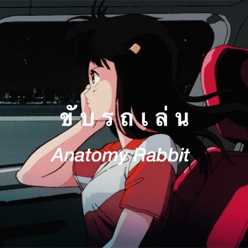 ขับรถเล่น - Anatomy Rabbit cover
