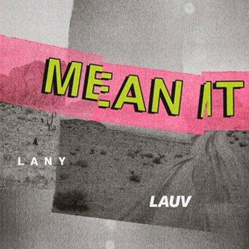 Mean It - Lauv & LANY (CVDE Remix)