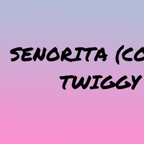 Senorita (Cover)