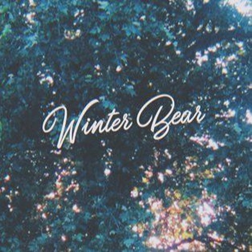 Taehyung - Winter Bear
