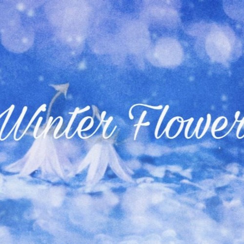 WINTER FLOWER (Feat.RM) (WINTER FLOWER(雪中梅) (Feat.RM)) 커버 Cover Instrumental Remake