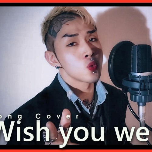 Billie Eilish - Wish you were gay (Kevin Park Cover)
