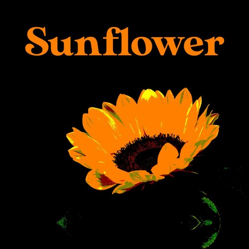 Sunflower by Post Malone and Swae Lee (Cover by Luke Gallagher)