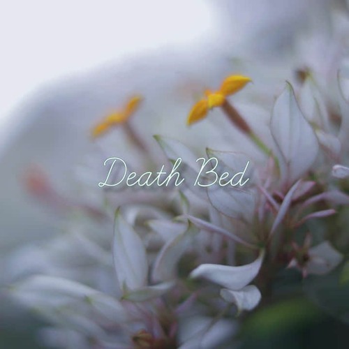 Death Bed - Powfu ft. beabadoobee (Cover)