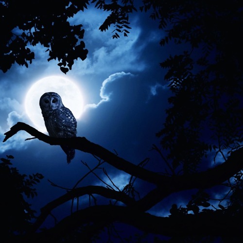Hyper-T - Night Owl - 2020 - Hyper Inuk Music