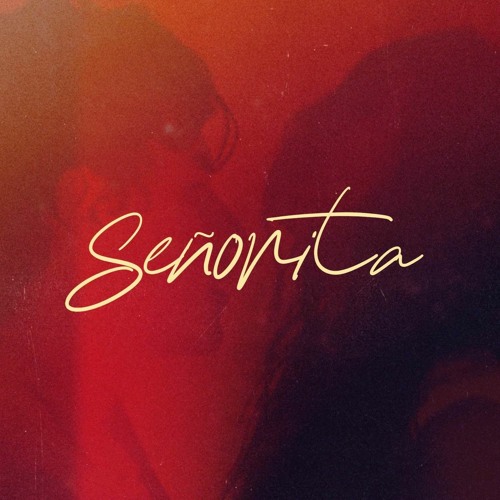Shawn Mendes & Camila Cabello - Senorita ( Daniel Frýda Remix 2020 )
