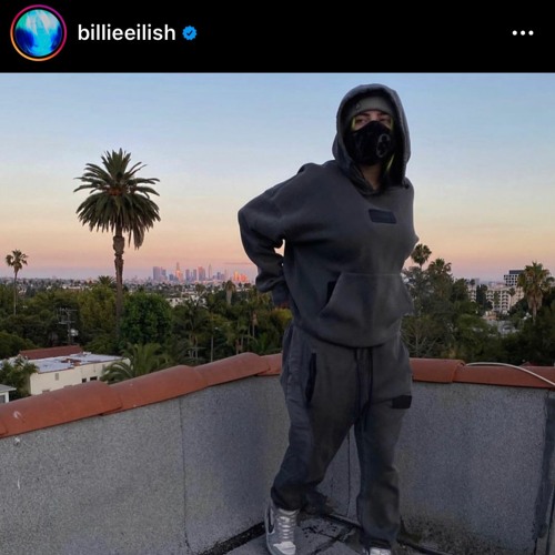 Billie Eilish COPYCAT - MY FUTURE - BAD GUY - OCEAN EYES Official Lyrics & Meaning Verified