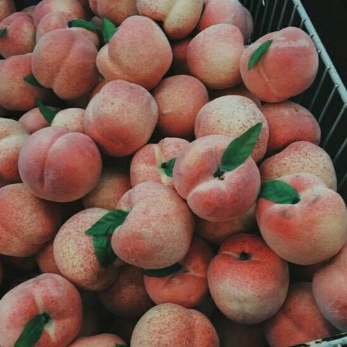 peach pit (chloe moriondo cover)