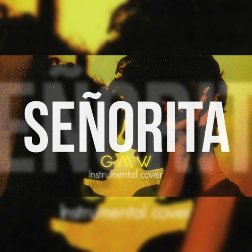 senorita instrumental karaoke by GMW remake music instrumental senorita gmw
