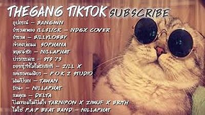 เพลงดังในtiktok ติ๊กต๊อก เพลงฮิตในtiktok อุปกรณ์ bangmin เพลงใหม่ รวมเพลงในtiktok เพลงในแอพtiktok 128K)